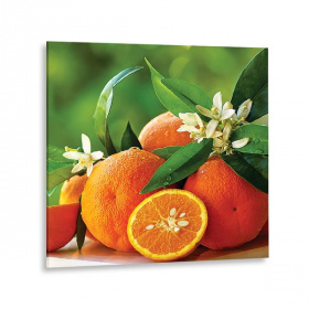 Картина на стекле Спелые апельсины 40x40 см