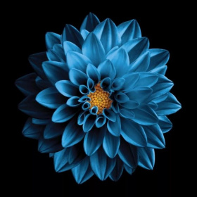 Картина на стекле Синий цветок 30х30 см