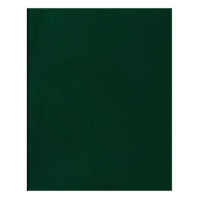 Тетрадь общая A5, 48 л., клетка, скрепка, обложка б/в BG, зеленая