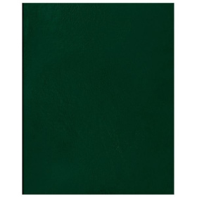 Тетрадь общая A5, 48 л., клетка, скрепка, обложка б/в OfficeSpace, зеленая