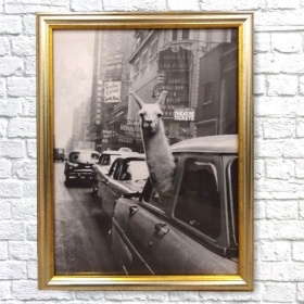 Постер Лама в такси 50*40 см. Холст, рама-багет, стекло